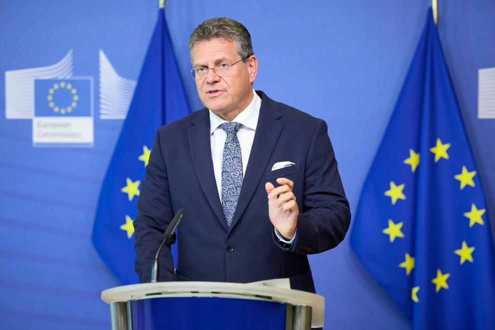 Press briefing by Maroš Šefčovič, Vice-President of the European Commission, on the 1st joint EU gas purchasing tender