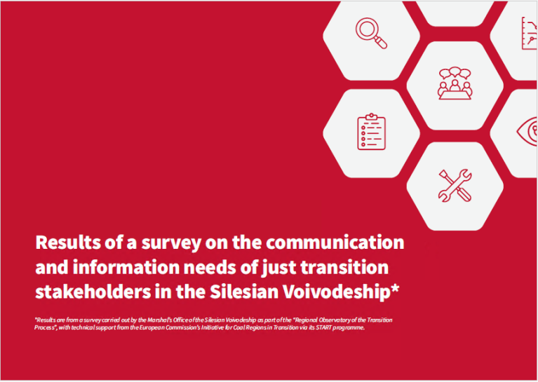 Screenshot of cover of the survey with survey title